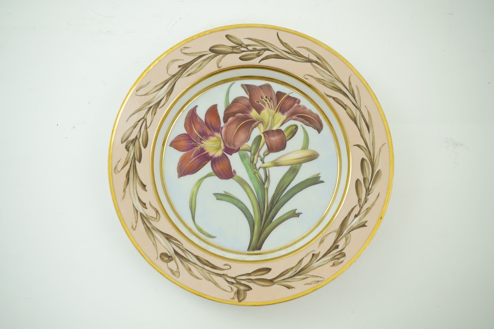 A KPM Berlin Orange day-lily botanical specimen plate, c.1806-9